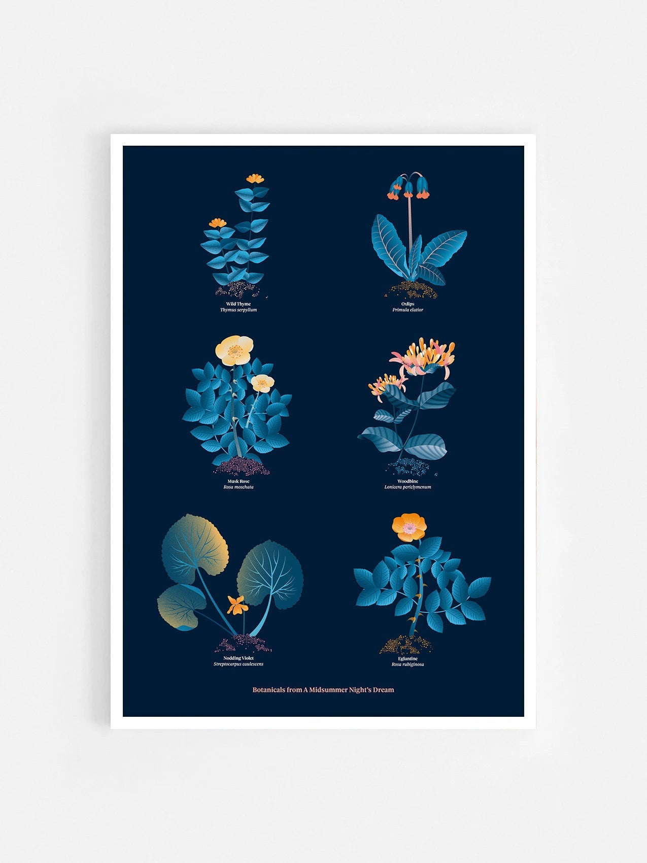 Floral art print 'The Forest's Flora' with blue, orange, and golden hues, inspired by Shakespeare's forest - White Frame.