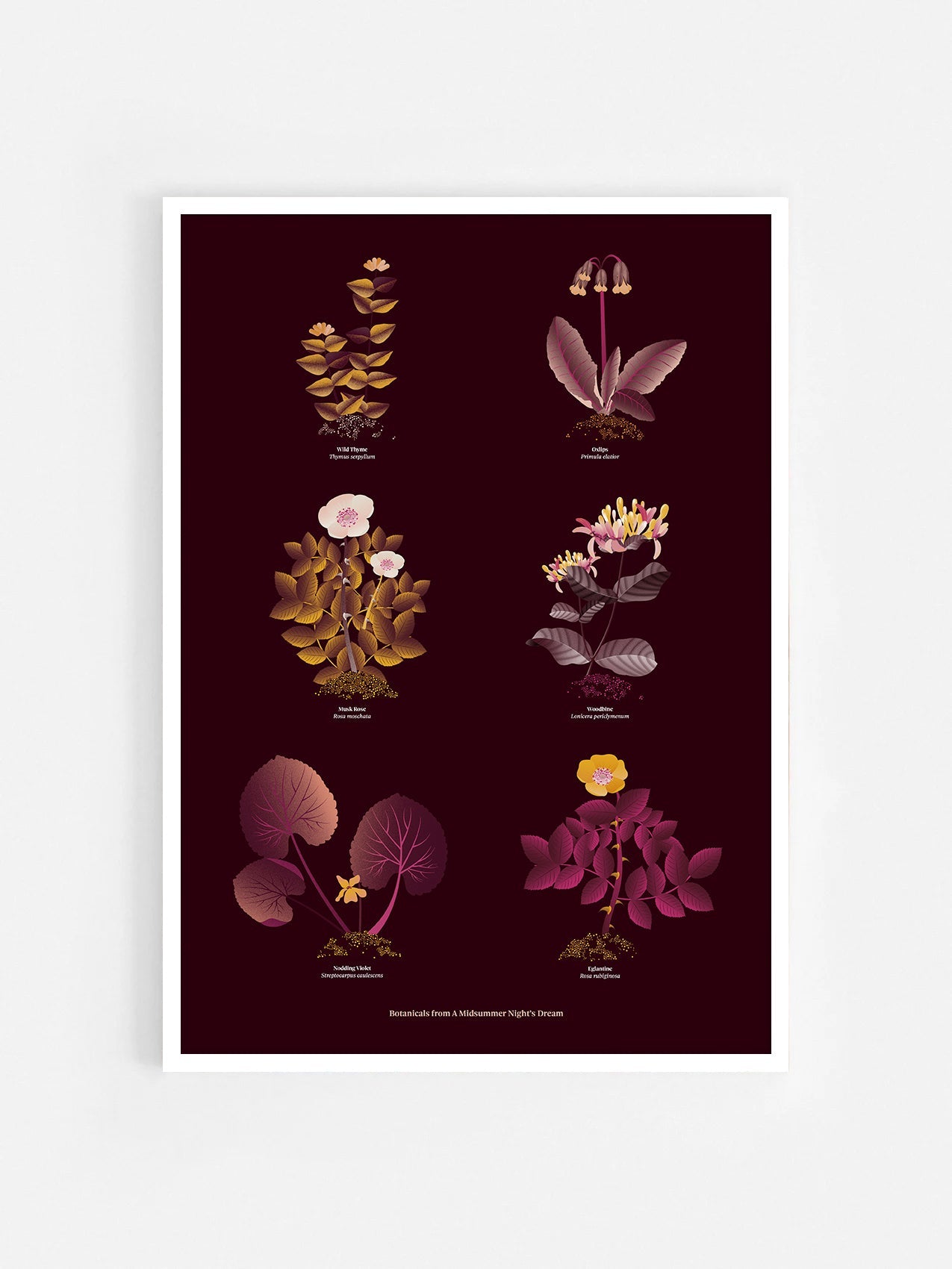 Floral art print 'The Forest's Flora' with aubergine, rose, and orange hues, inspired by Shakespeare's forest - White Frame.