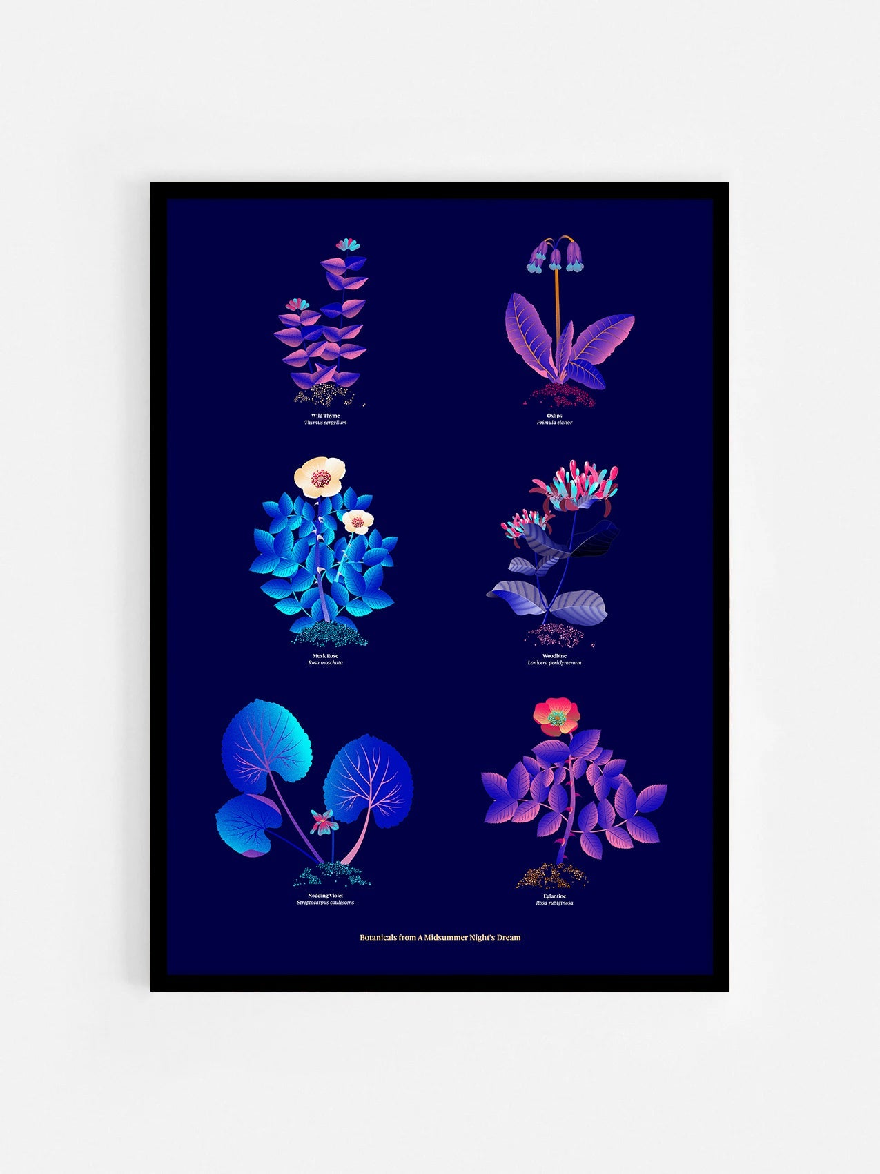 Floral art print 'The Forest's Flora' with electric blue, day-glow, and buttercup hues, inspired by Shakespeare's forest - Black Frame.