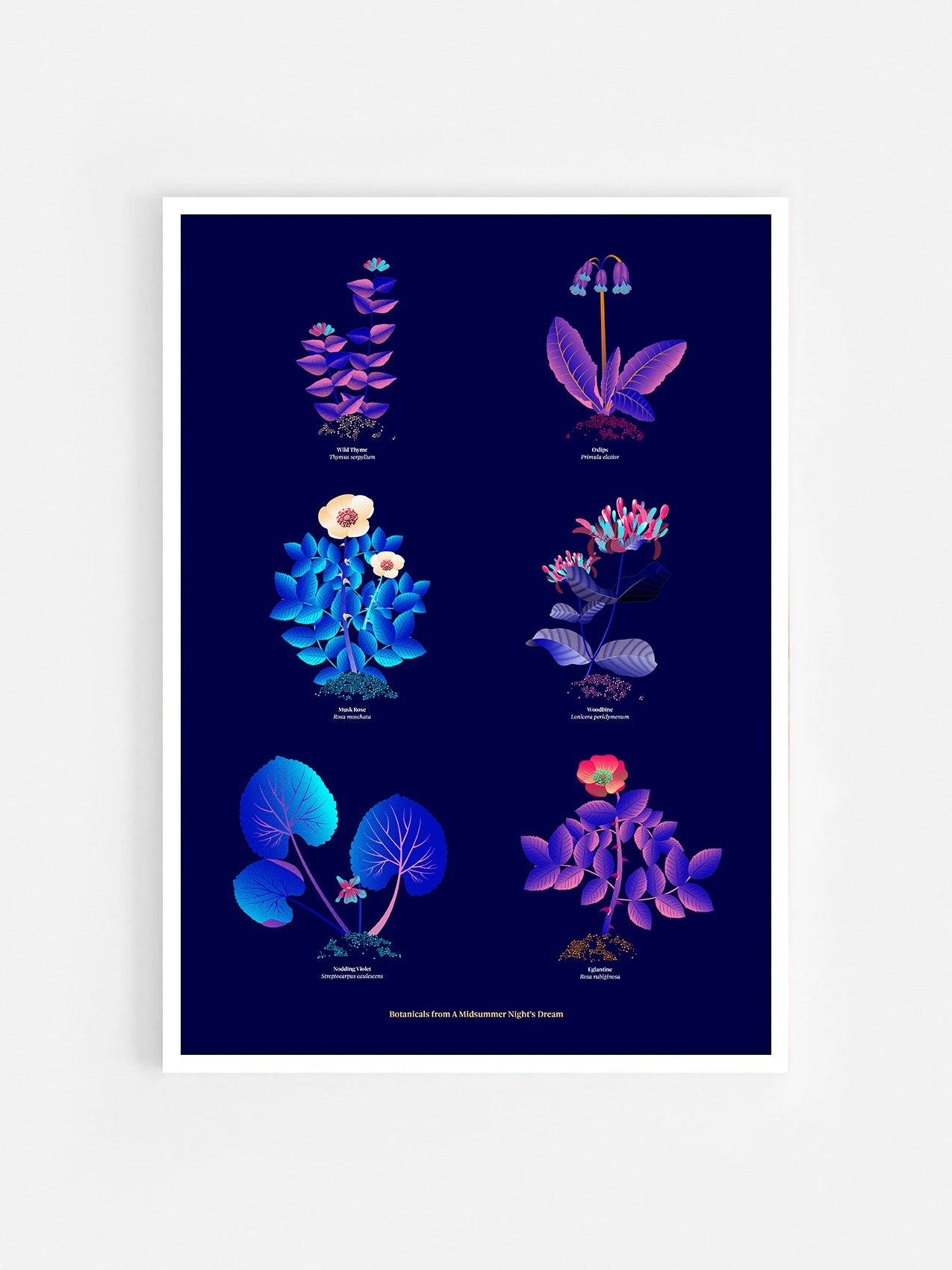 Floral art print 'The Forest's Flora' with electric blue, day-glow, and buttercup hues, inspired by Shakespeare's forest - White Frame.