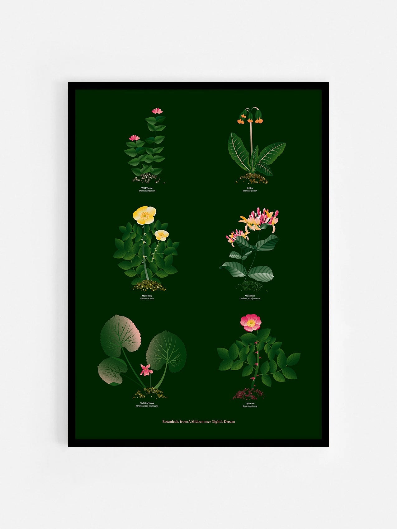 Floral art print 'The Forest's Flora' with forest green, saffron, and magenta hues, inspired by Shakespeare's forest - Black Frame.