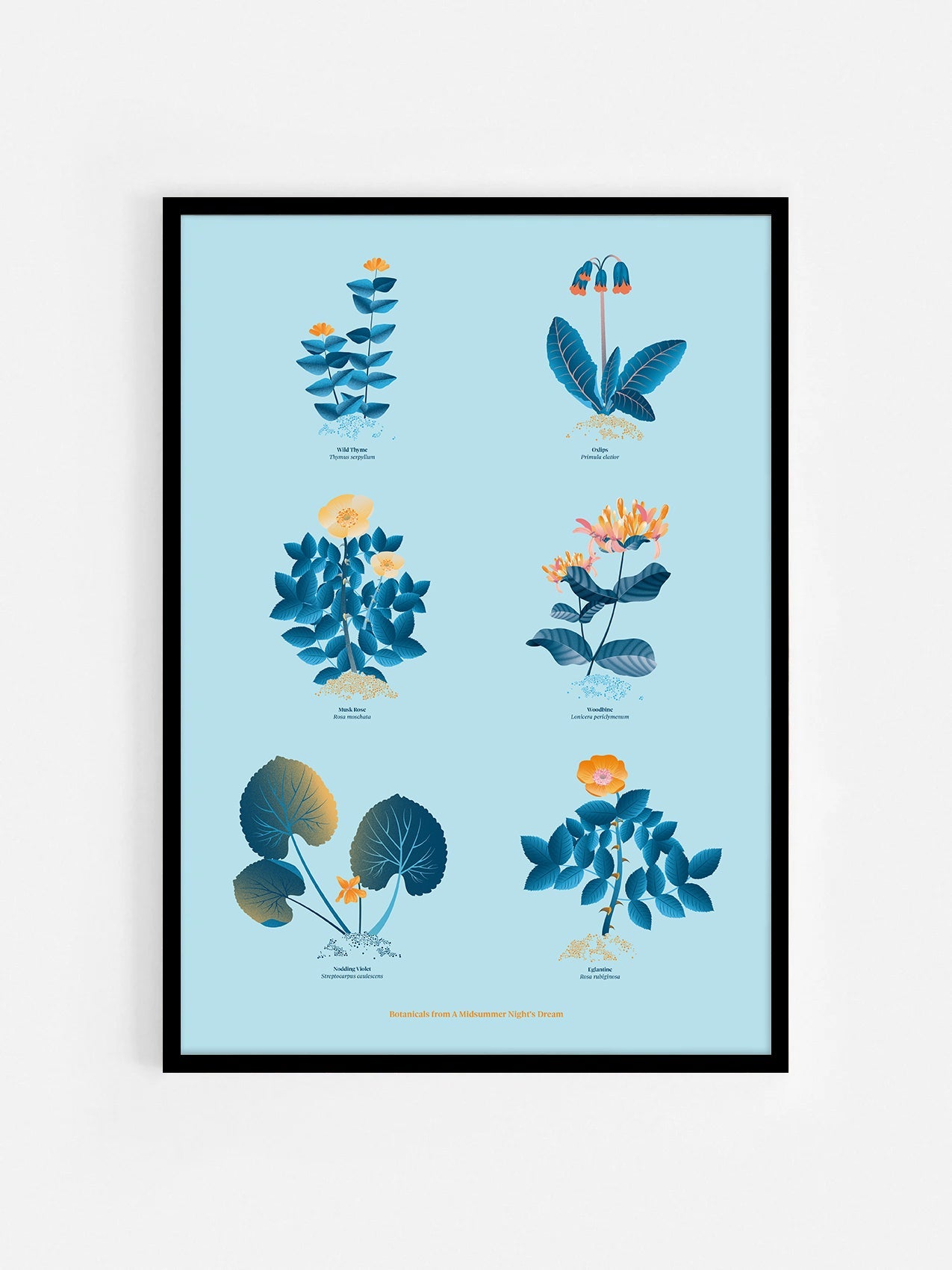 Floral art print 'The Forest's Flora' with blue, orange, and golden hues, inspired by Shakespeare's woodland - Black Frame.