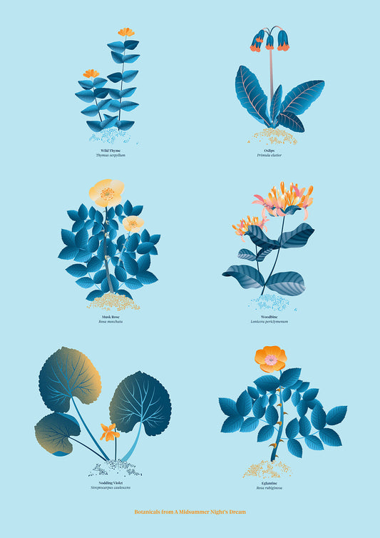 Floral art print 'The Forest's Flora' with blue, orange, and golden hues, inspired by Shakespeare's woodland - Print Only.