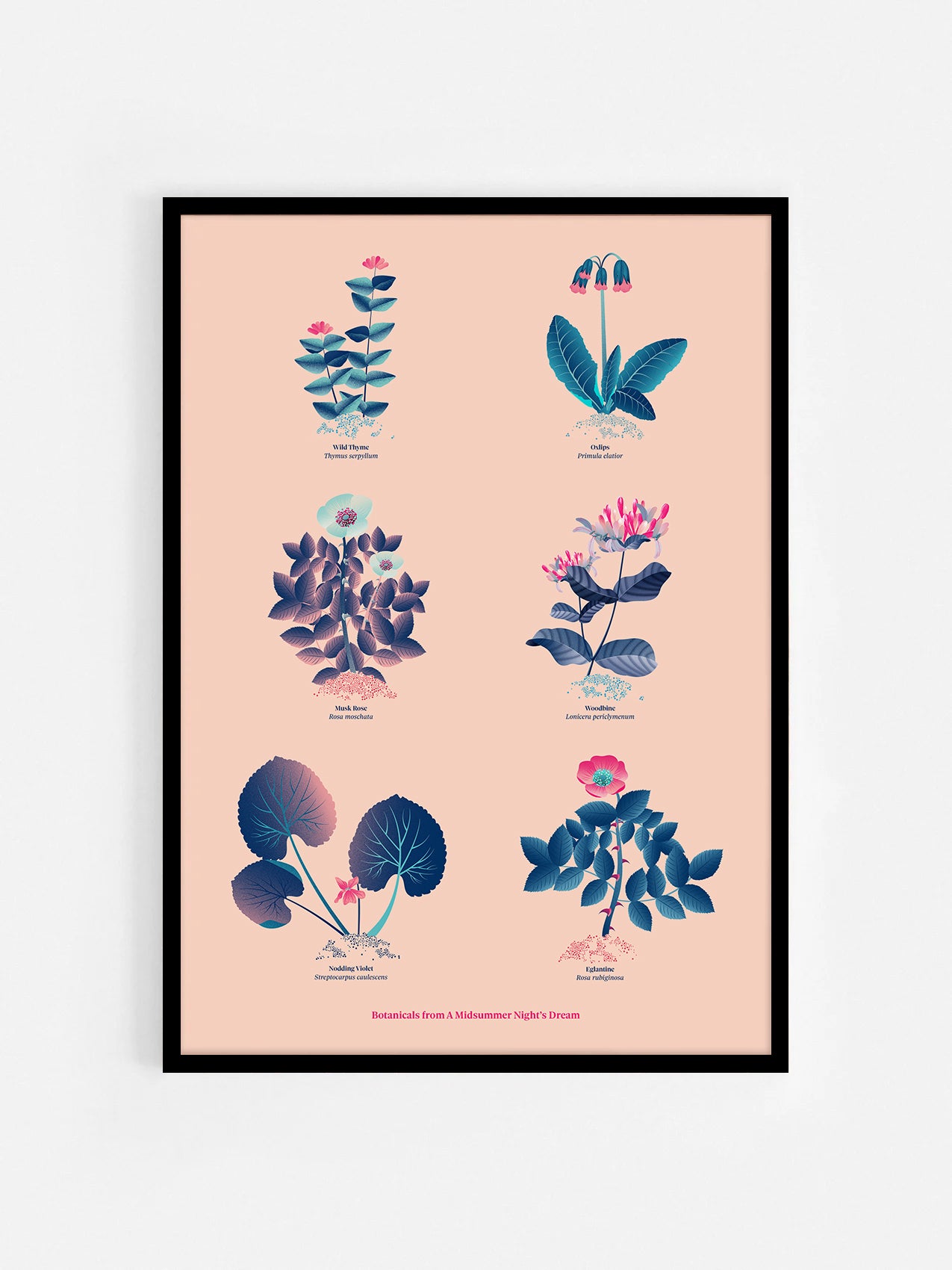 Floral art print 'The Forest's Flora' with ruby red, turquoise, and blue hues, inspired by Shakespeare's woodland - Black Frame.
