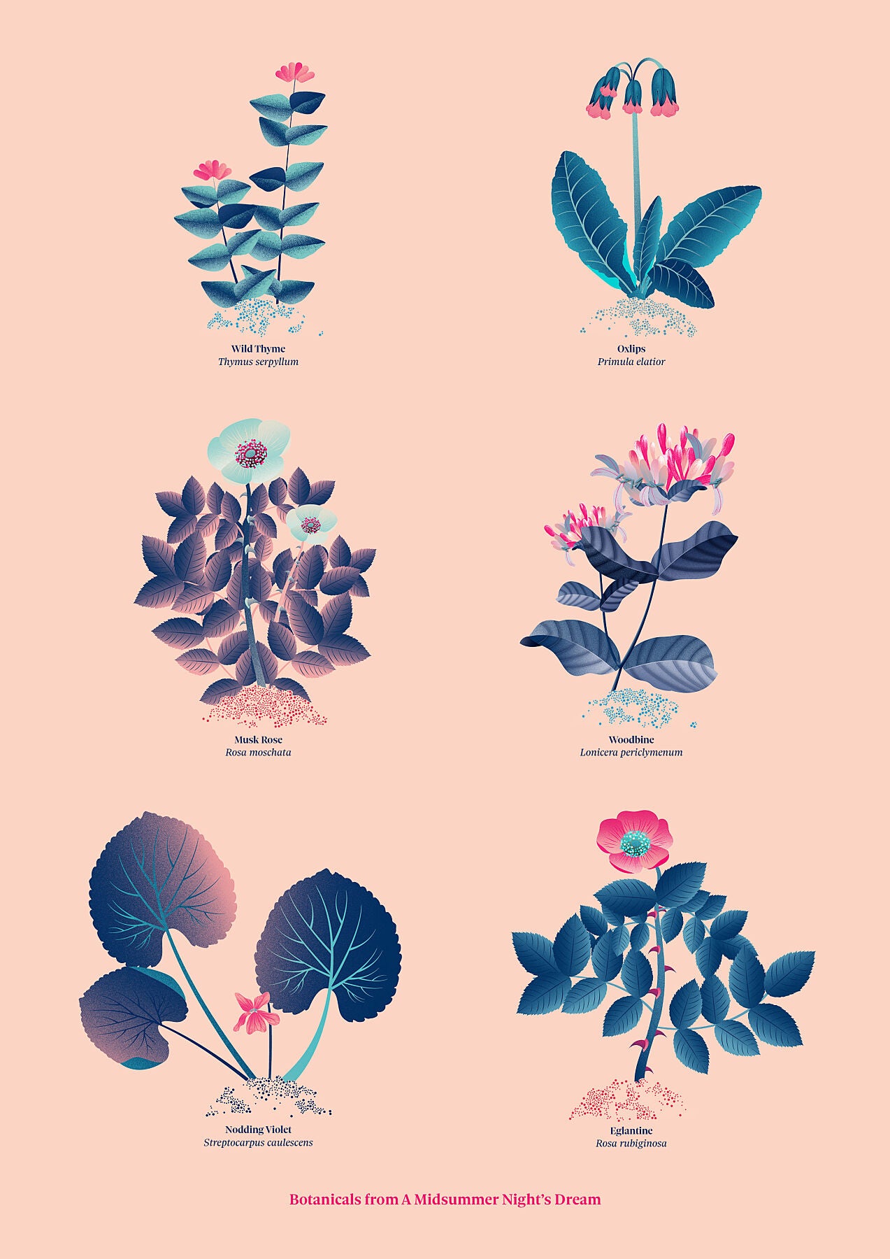 Floral art print 'The Forest's Flora' with ruby red, turquoise, and blue hues, inspired by Shakespeare's woodland - Print Only.