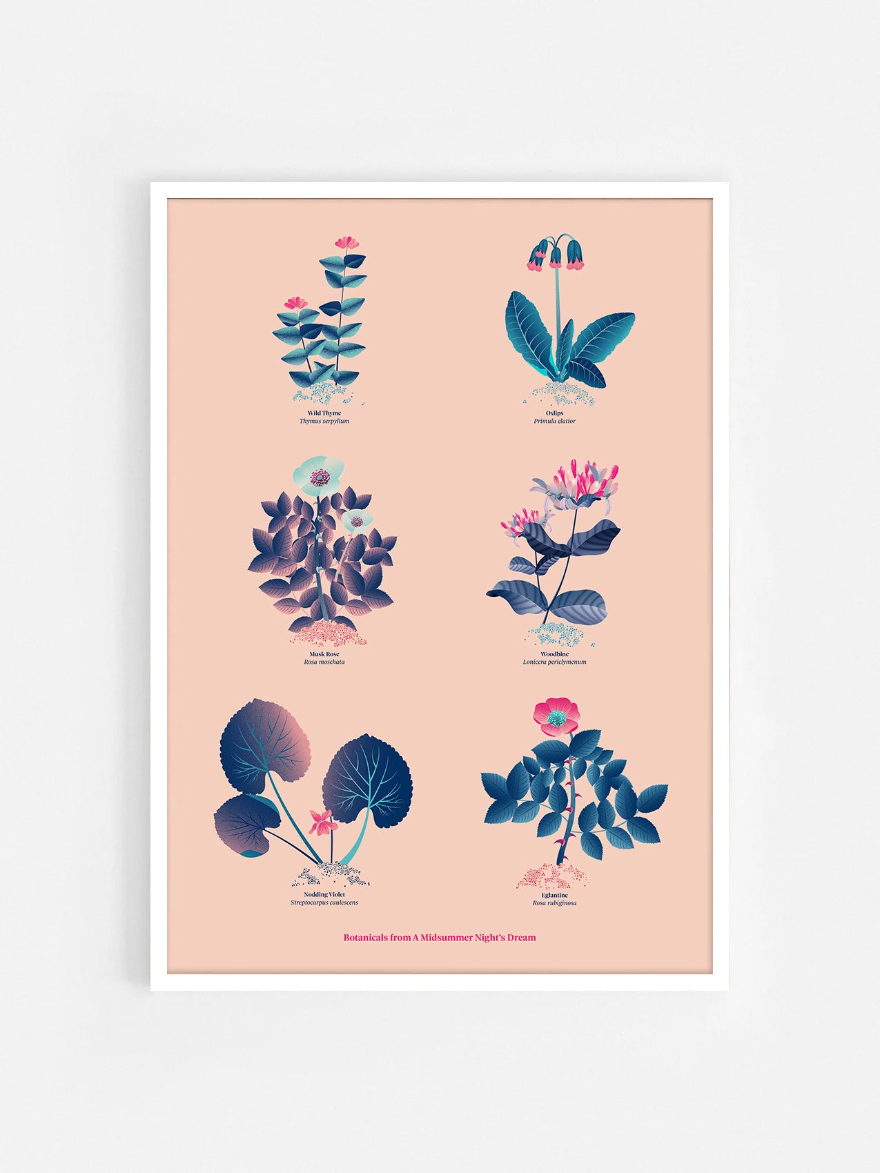 Floral art print 'The Forest's Flora' with ruby red, turquoise, and blue hues, inspired by Shakespeare's woodland - White Frame.
