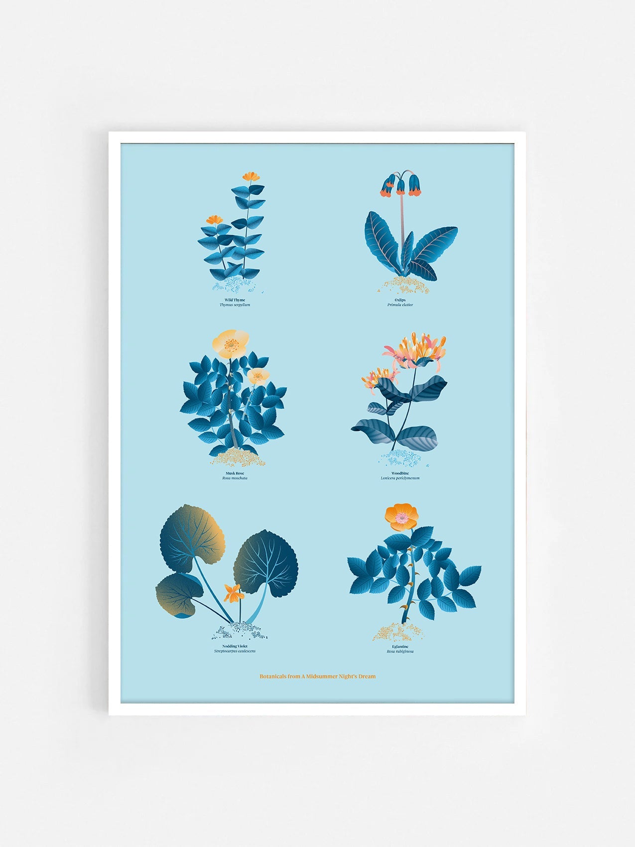 Floral art print 'The Forest's Flora' with electric blue, day-glow, and buttercup hues, inspired by Shakespeare's woodland - White Frame