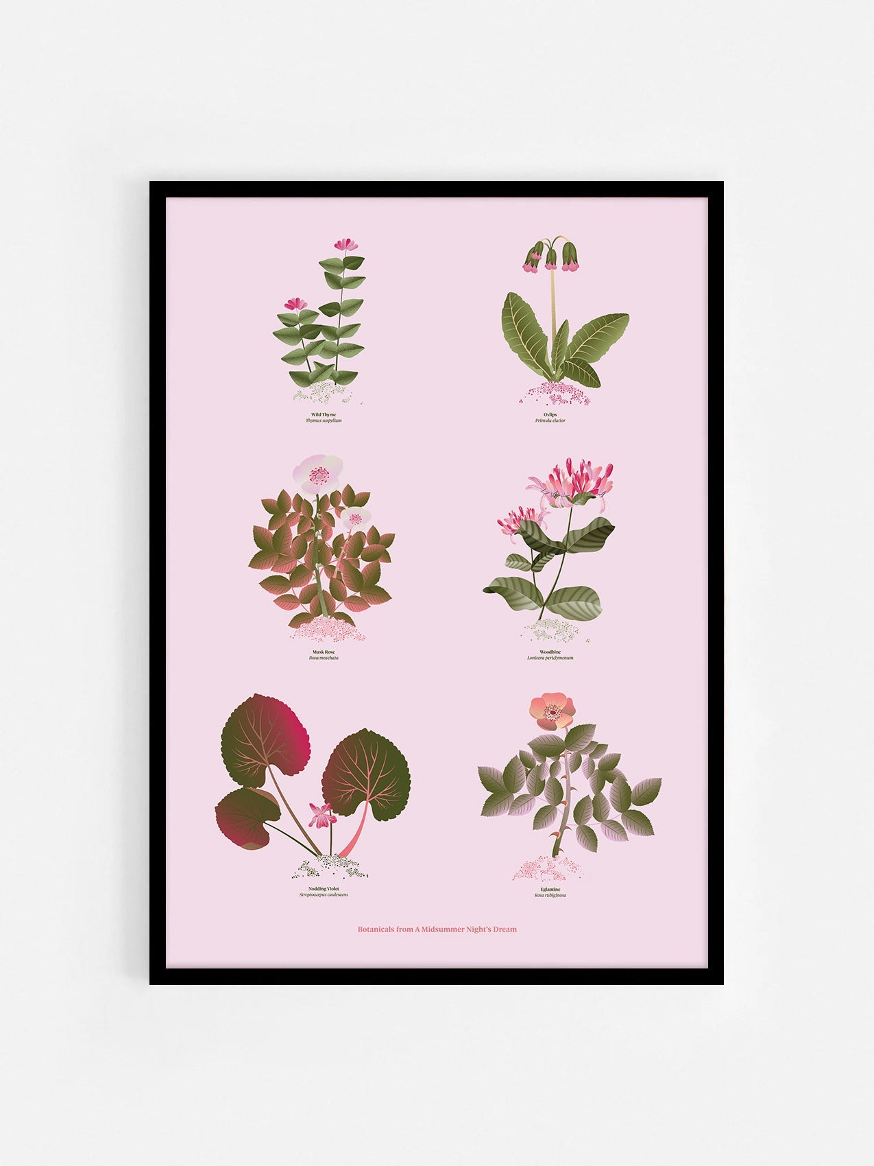 Floral art print 'The Forest's Flora' with olive, pink, and pomegranate hues, inspired by Shakespeare's forest - Black Frame.