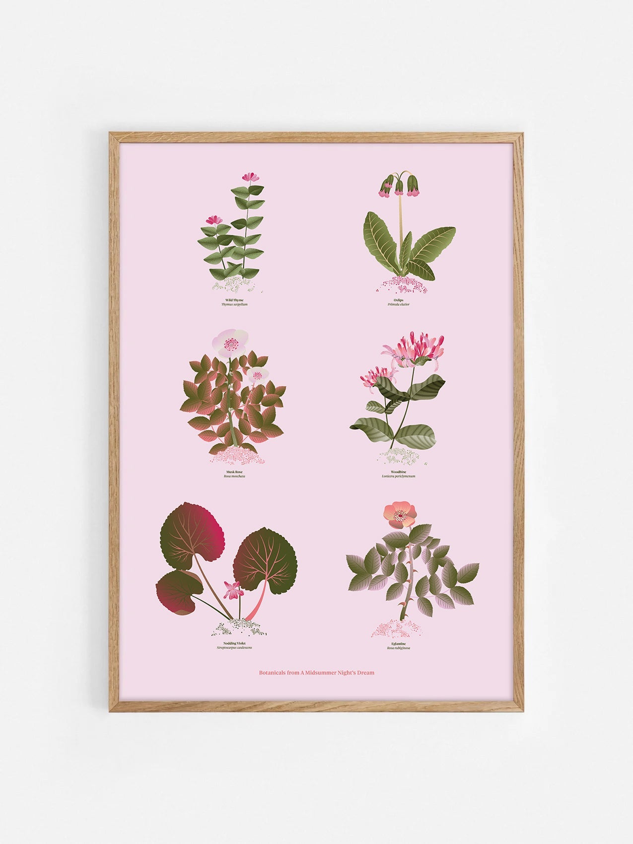Floral art print 'The Forest's Flora' with olive, pink, and pomegranate hues, inspired by Shakespeare's forest - Oak Frame.
