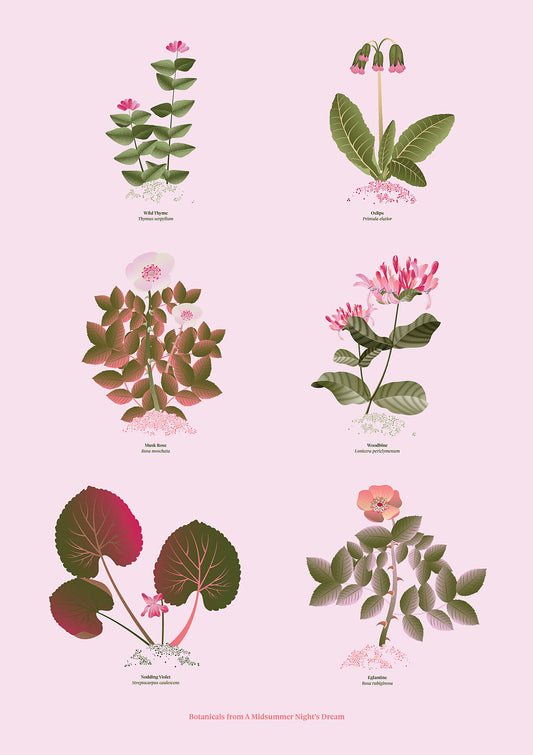 Floral art print 'The Forest's Flora' with olive, pink, and pomegranate hues, inspired by Shakespeare's forest - Print Only.