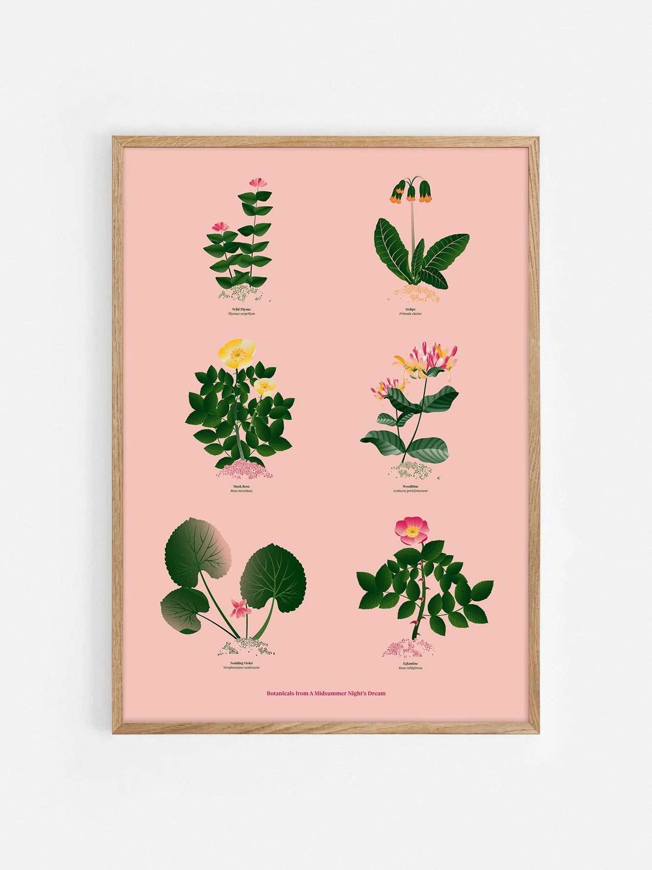 Floral art print 'The Forest's Flora' with forest green, saffron, and magenta hues, inspired by Shakespeare's woodland - Oak Frame.