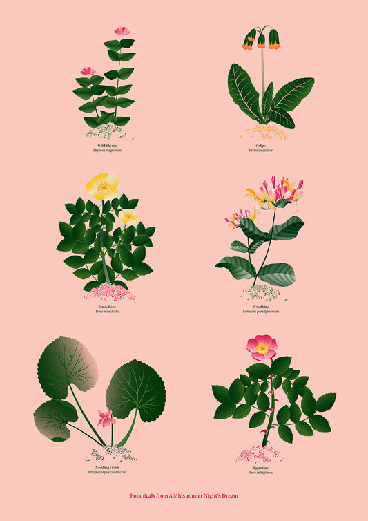 Floral art print 'The Forest's Flora' with forest green, saffron, and magenta hues, inspired by Shakespeare's forest - Print Only.