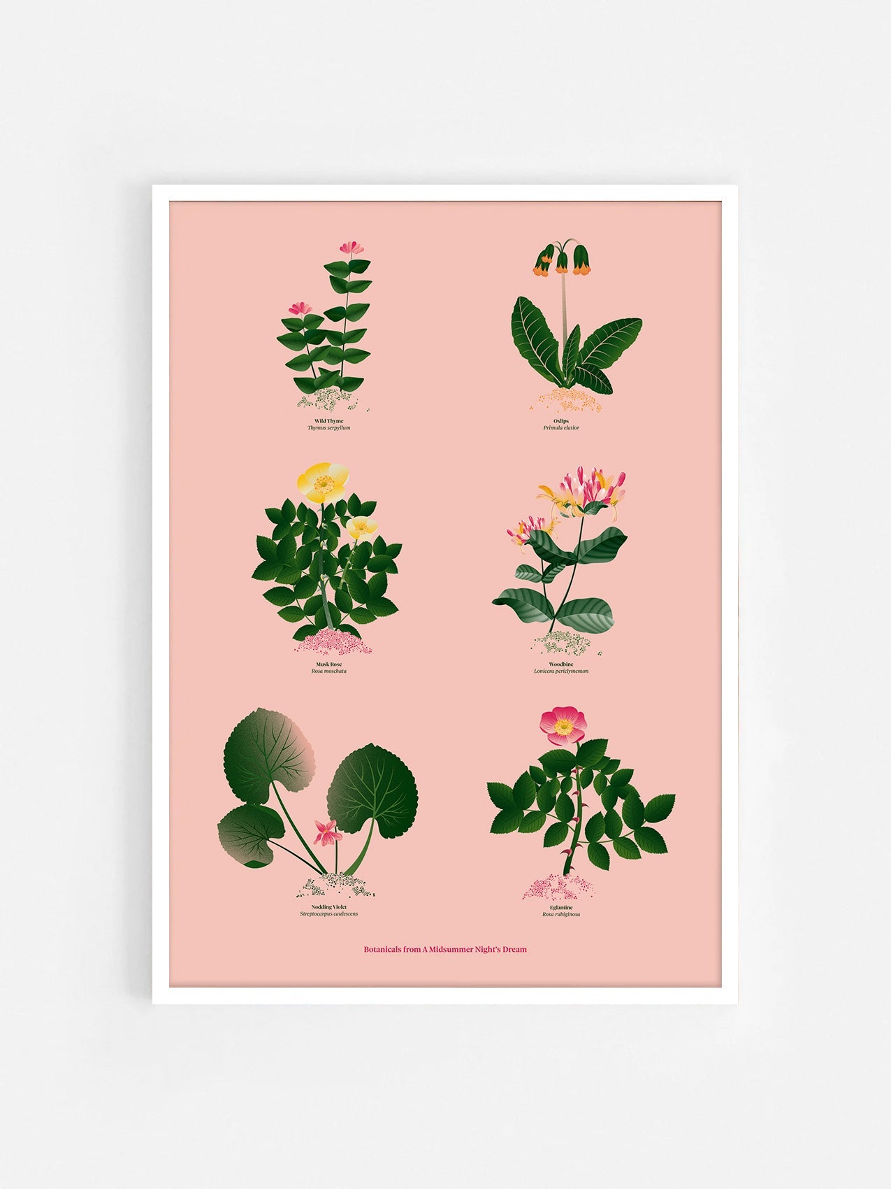 Floral art print 'The Forest's Flora' with forest green, saffron, and magenta hues, inspired by Shakespeare's forest - White Frame.