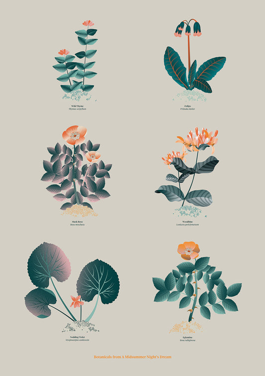 Floral art print 'The Forest's Flora' with teal, mandarin, and orange hues, inspired by Shakespeare's forest - Print Only