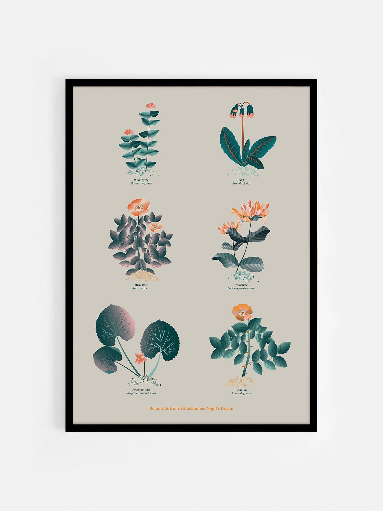 Floral art print 'The Forest's Flora' with teal, mandarin, and orange hues, inspired by Shakespeare's forest - Black Frame.