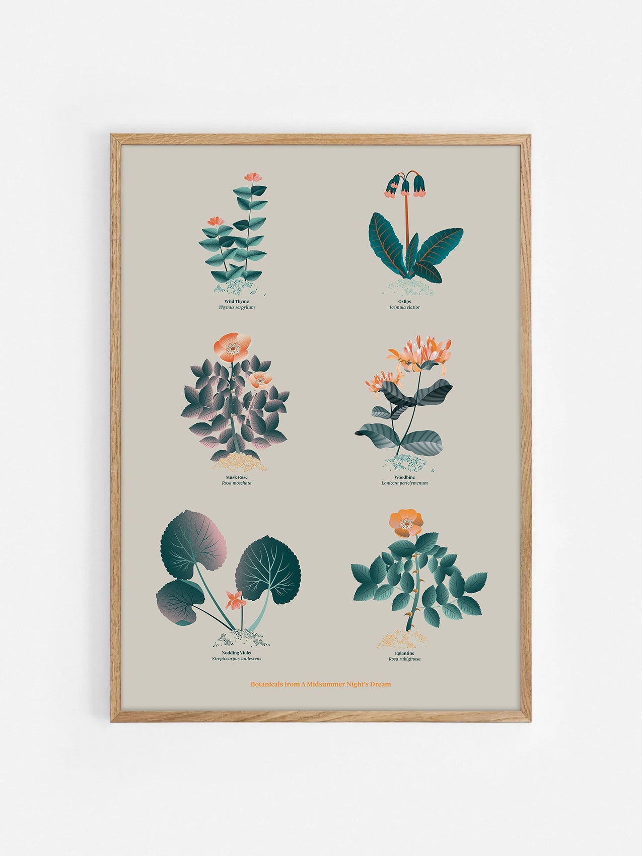 Floral art print 'The Forest's Flora' with teal, mandarin, and orange hues, inspired by Shakespeare's forest - Oak Frame.