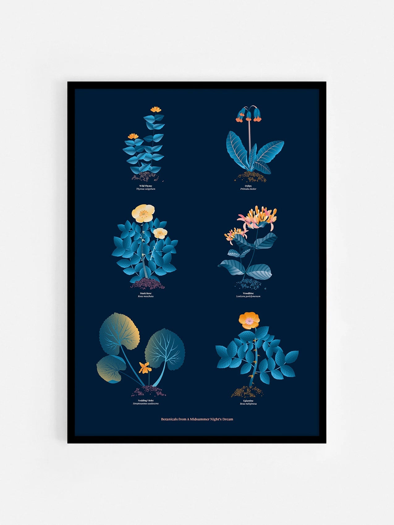 Floral art print 'The Forest's Flora' with blue, orange, and golden hues, inspired by Shakespeare's forest - Black Frame.