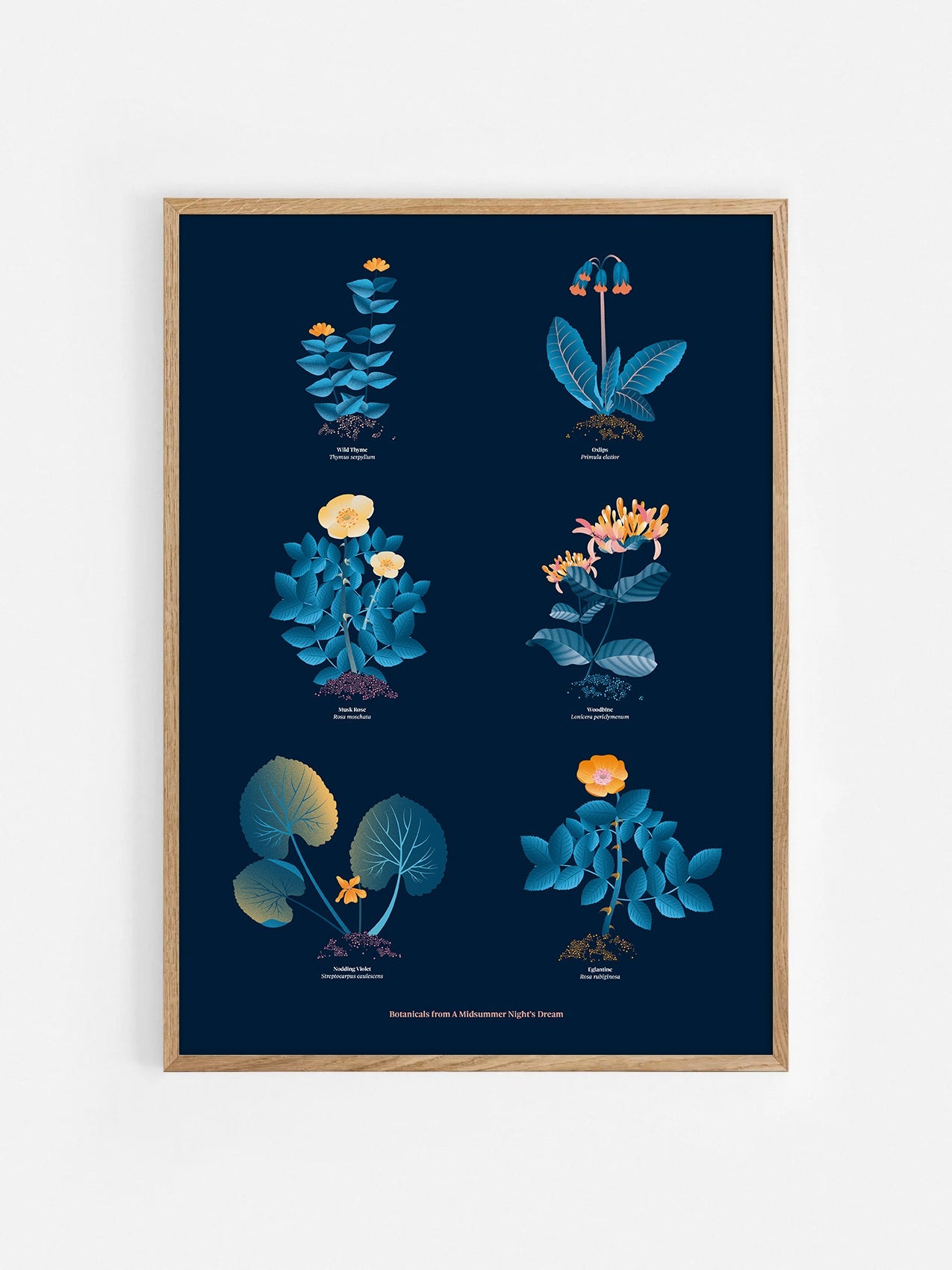 Floral art print 'The Forest's Flora' with blue, orange, and golden hues, inspired by Shakespeare's forest - Oak Frame.