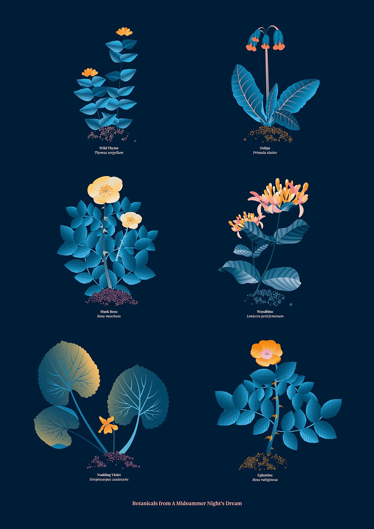 Floral art print 'The Forest's Flora' with blue, orange, and golden hues, inspired by Shakespeare's forest - Print Only.