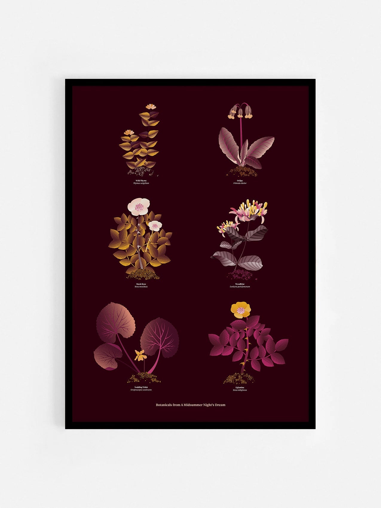 Floral art print 'The Forest's Flora' with aubergine, rose, and orange hues, inspired by Shakespeare's forest - Black Frame.