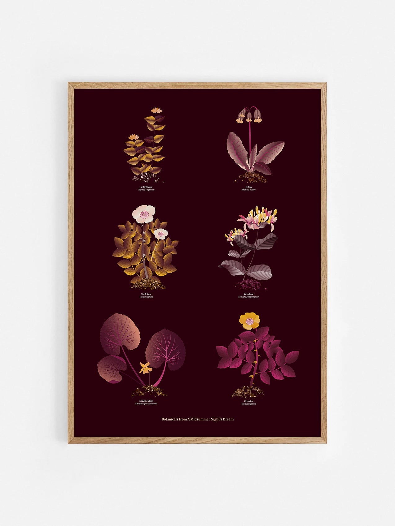 Floral art print 'The Forest's Flora' with aubergine, rose, and orange hues, inspired by Shakespeare's forest - Oak Frame.