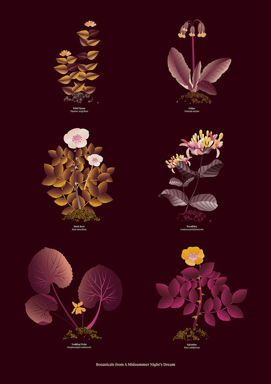 Floral art print 'The Forest's Flora' with aubergine, rose, and orange hues, inspired by Shakespeare's forest - Print Only.