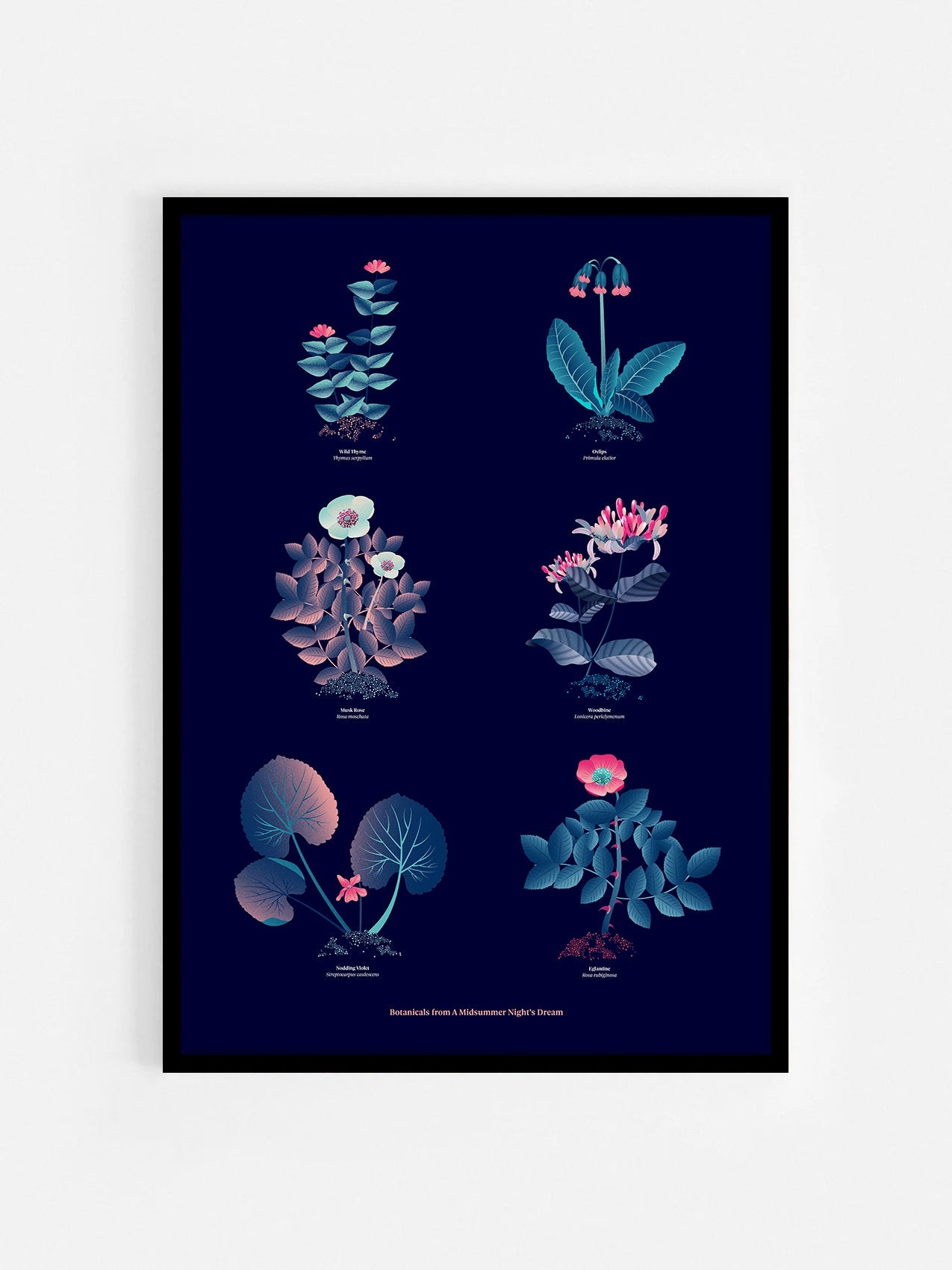 Floral art print 'The Forest's Flora' with ruby red, turquoise, and blue hues, inspired by Shakespeare's forest - Black Frame.