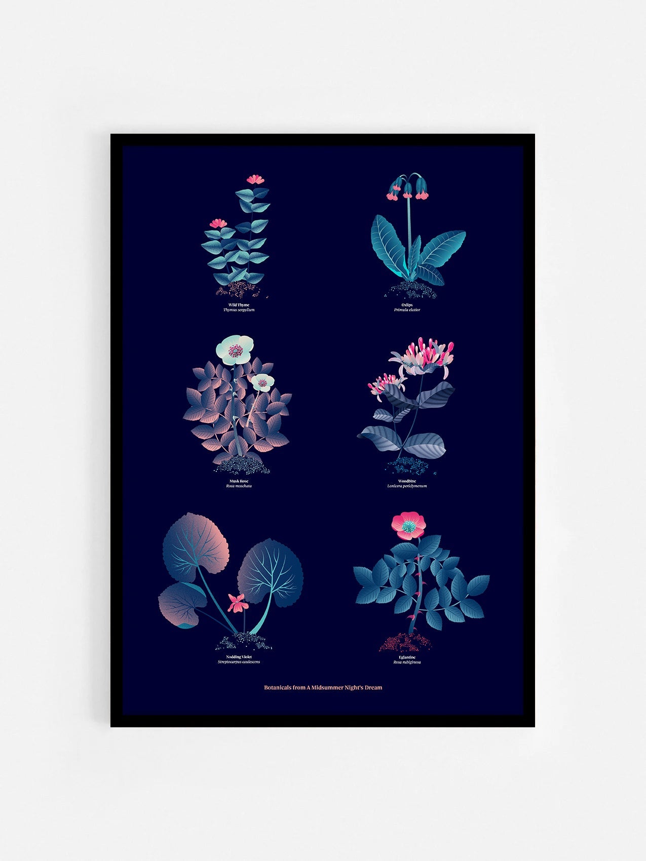 Floral art print 'The Forest's Flora' with ruby red, turquoise, and blue hues, inspired by Shakespeare's forest - Black Frame.