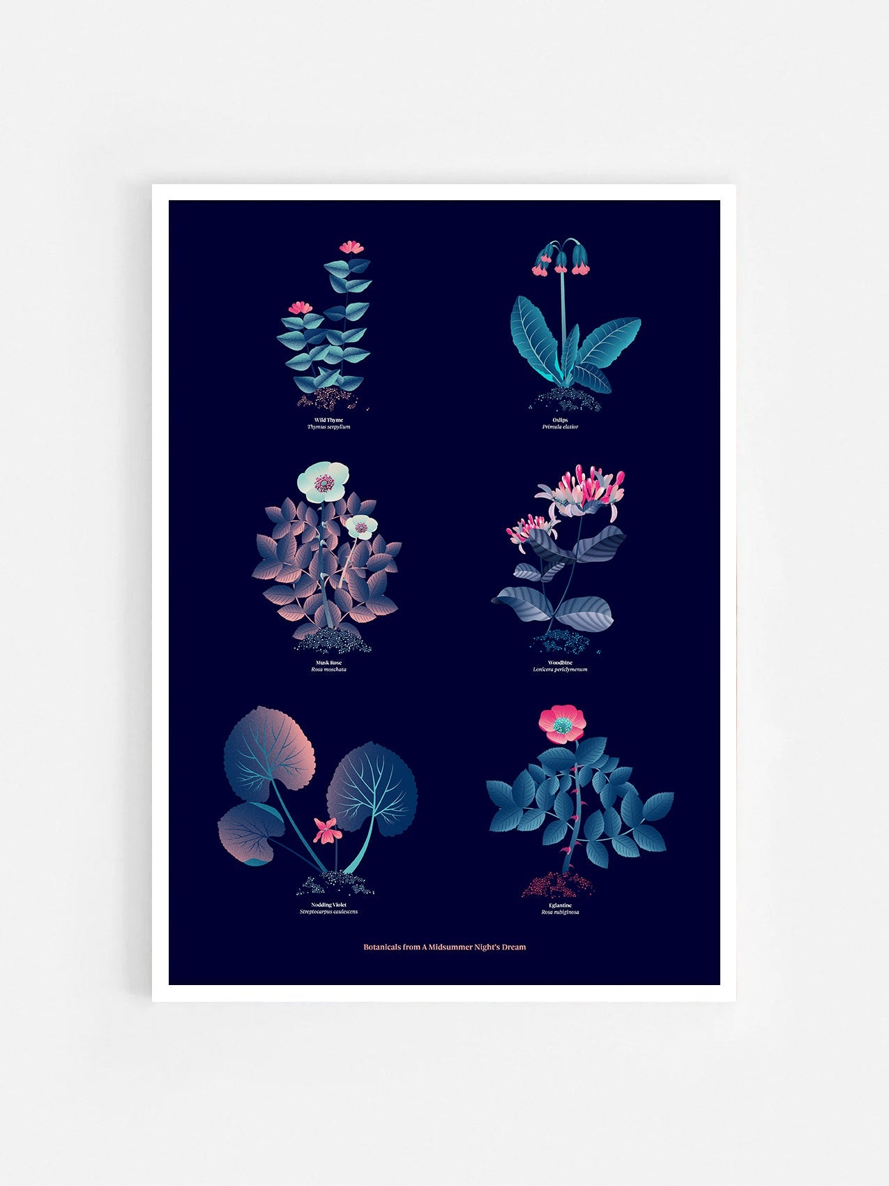 Floral art print 'The Forest's Flora' with ruby red, turquoise, and blue hues, inspired by Shakespeare's forest - White Frame.
