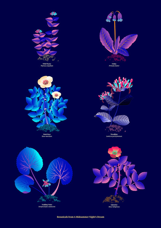 Floral art print 'The Forest's Flora' with electric blue, day-glow, and buttercup hues, inspired by Shakespeare's forest - Print Only.