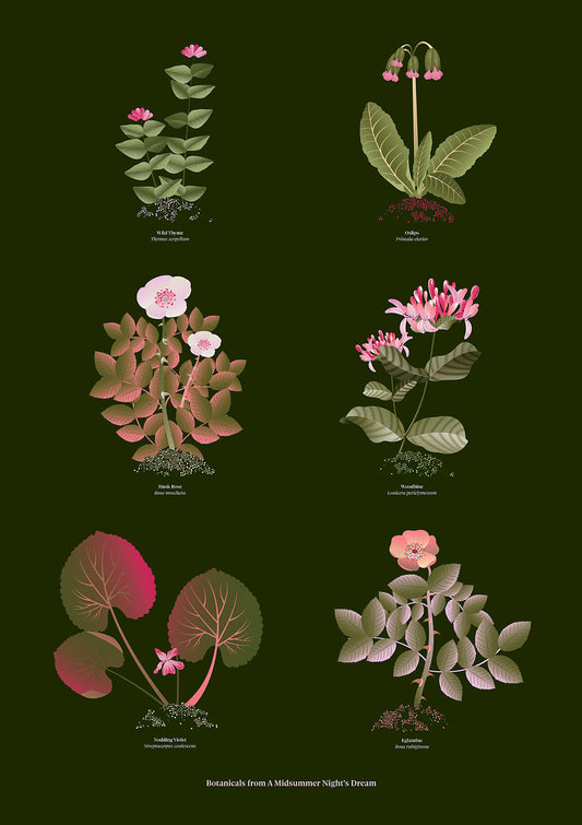 Floral art print 'The Forest's Flora' with olive, pink, and pomegranate hues, inspired by Shakespeare's forest - Print Only.