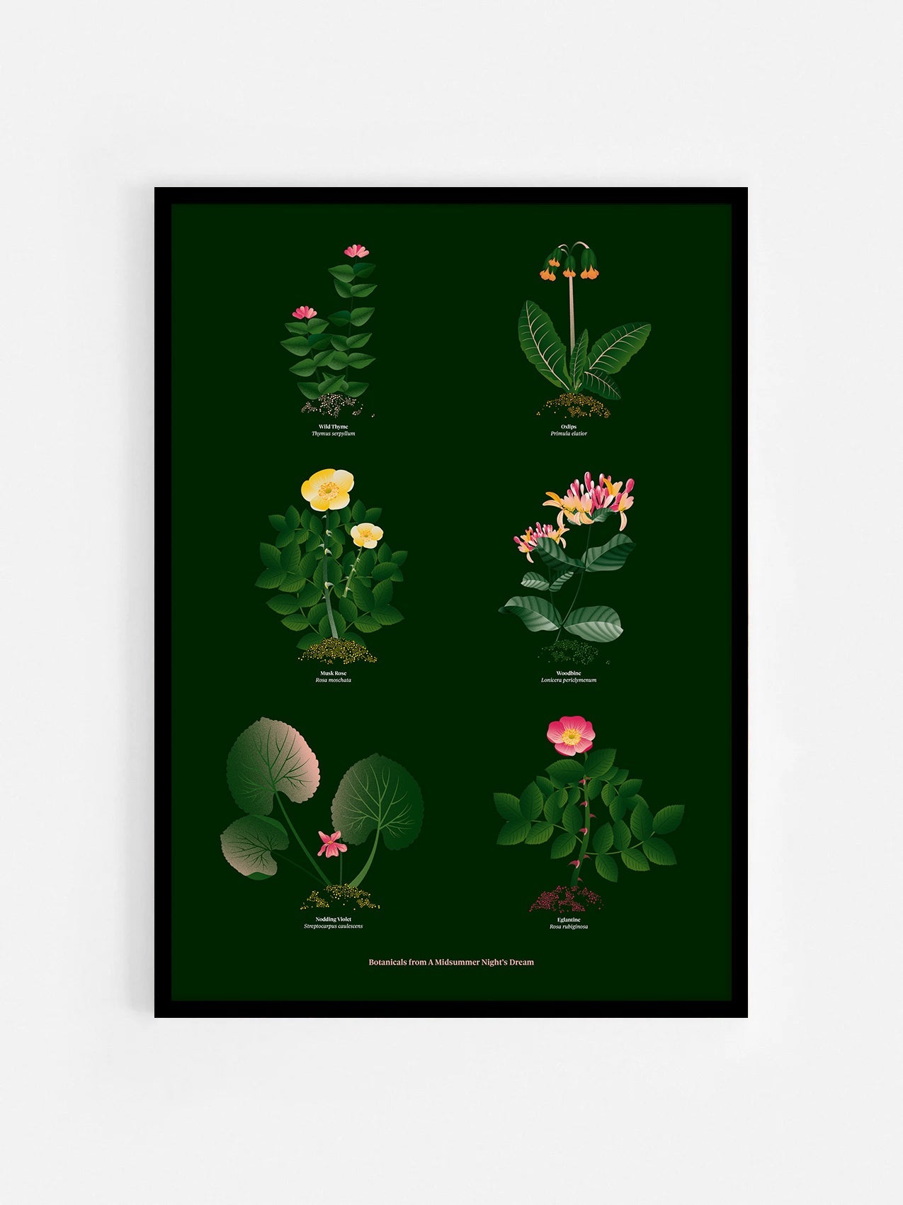 Floral art print 'The Forest's Flora' with forest green, saffron, and magenta hues, inspired by Shakespeare's forest - Black Frame.