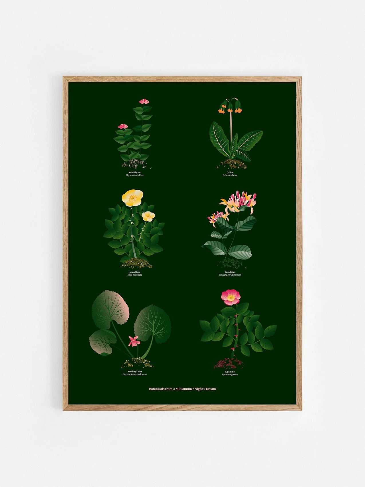 Floral art print 'The Forest's Flora' with forest green, saffron, and magenta hues, inspired by Shakespeare's forest - Oak Frame.