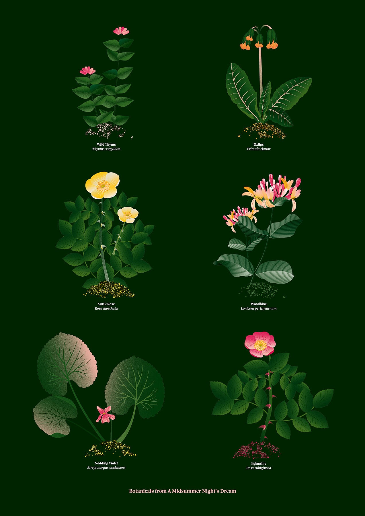 Floral art print 'The Forest's Flora' with forest green, saffron, and magenta hues, inspired by Shakespeare's forest - Print Only.