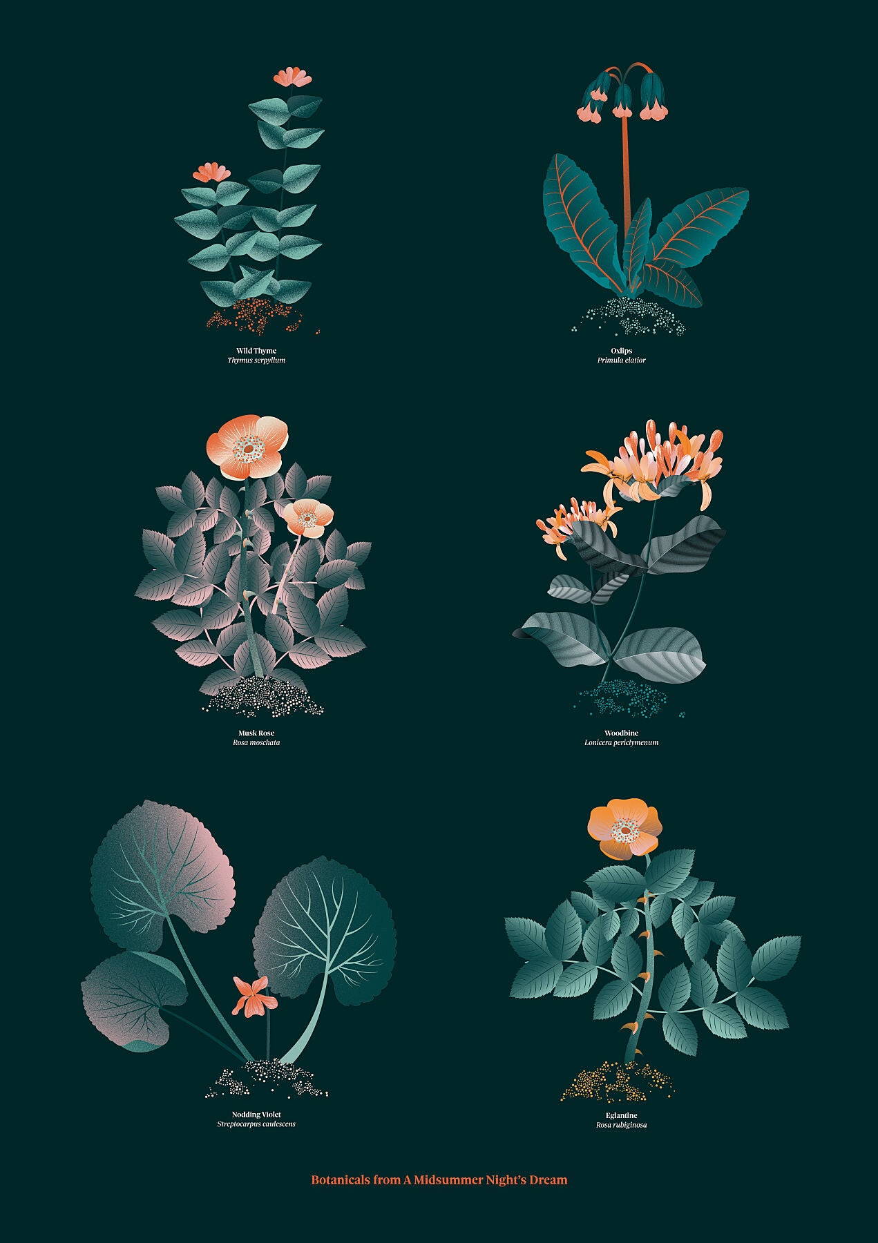 Floral art print 'The Forest's Flora' with teal, mandarin, and orange hues, inspired by Shakespeare's forest - Print only.