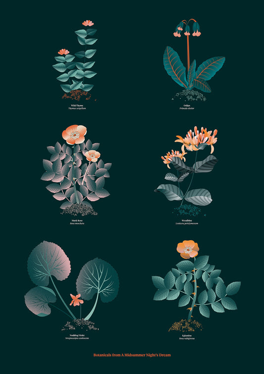Floral art print 'The Forest's Flora' with teal, mandarin, and orange hues, inspired by Shakespeare's forest - Print only.