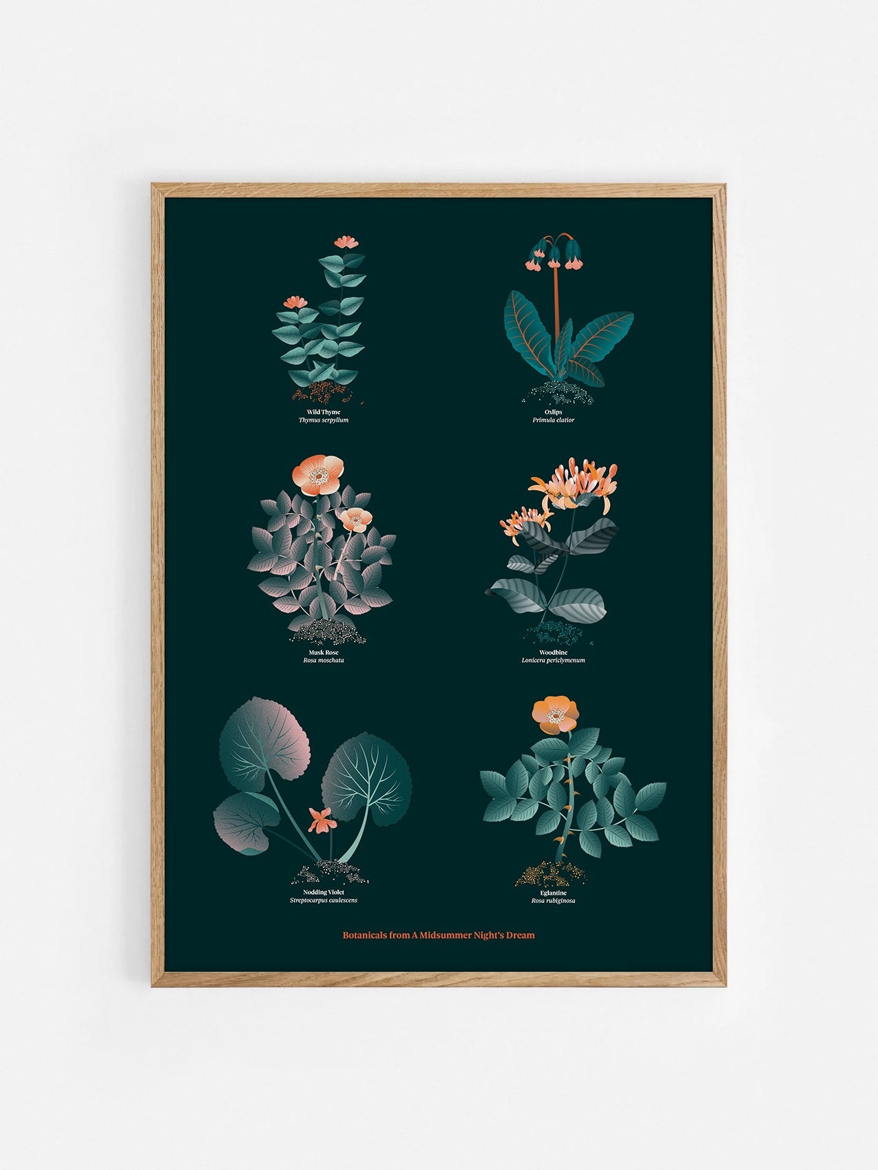 Floral art print 'The Forest's Flora' with teal, mandarin, and orange hues, inspired by Shakespeare's forest - Oak Frame.