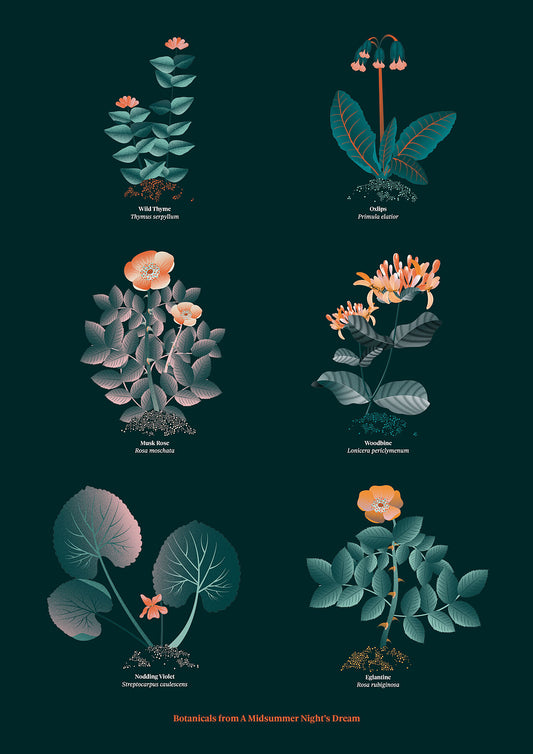 Floral art print 'The Forest's Flora' with teal, mandarin, and orange hues, inspired by Shakespeare's forest - Print only.
